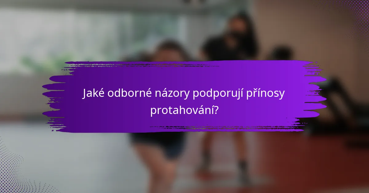 Jaké odborné názory podporují přínosy protahování?
